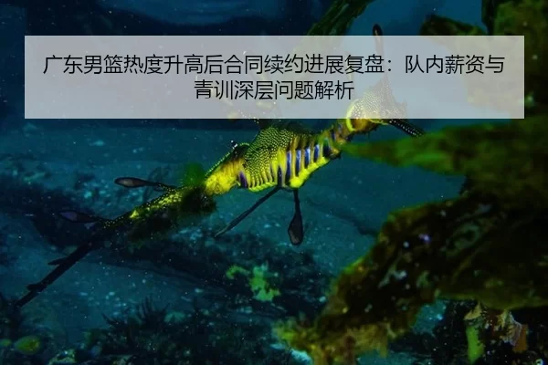 广东男篮热度升高后合同续约进展复盘：队内薪资与青训深层问题解析